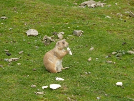 Turisté navštívili ZOO Olomouc