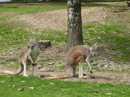 Turisté navštívili ZOO Olomouc
