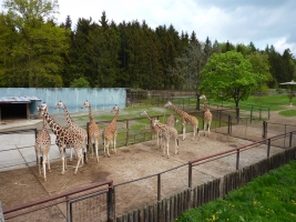 Turisté navštívili ZOO Olomouc