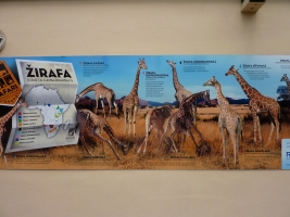 Turisté navštívili ZOO Olomouc