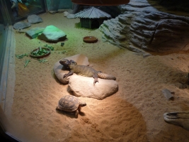 Turisté navštívili ZOO Olomouc