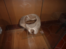 Hraniční meandry Odry