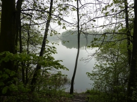 Hraniční meandry Odry