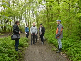 Hraniční meandry Odry