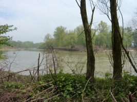 Hraniční meandry Odry