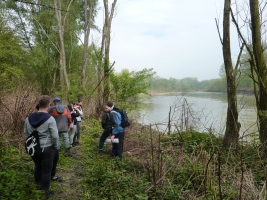 Hraniční meandry Odry