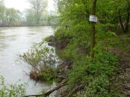 Hraniční meandry Odry