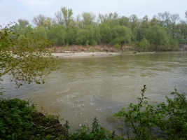 Hraniční meandry Odry