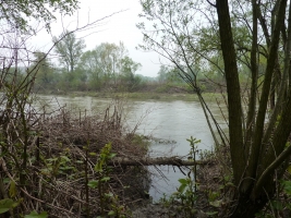 Hraniční meandry Odry