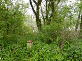 Hraniční meandry Odry