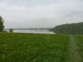 Hraniční meandry Odry