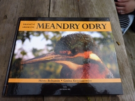 Hraniční meandry Odry