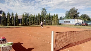Tenis