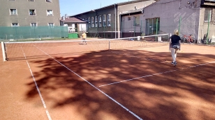 Tenis