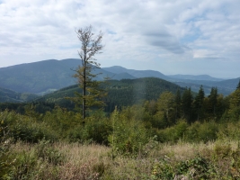 Výstup na Lysou horu