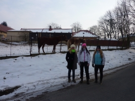 Na Mexiko na tvarůžky