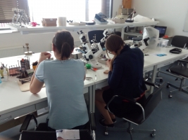 Exkurze na katedru optiky PřF UP v Olomouci