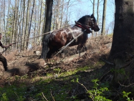 Jarní výstup na Kozubovou