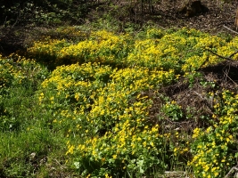 Jarní výstup na Kozubovou