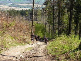 Jarní výstup na Kozubovou