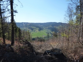 Jarní výstup na Kozubovou