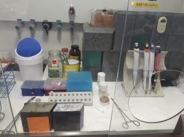 Ústav organické chemie a biochemie AV ČR