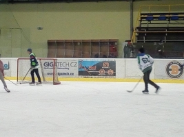 Mikulášská na ledě