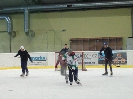 Mikulášská na ledě