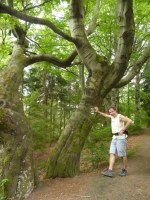 Výstup na Girovou, Hrčava