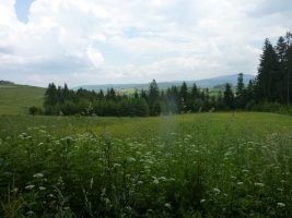 Výstup na Girovou, Hrčava