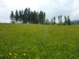 Výstup na Girovou, Hrčava