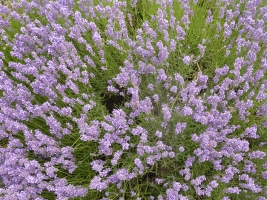 Turistika Bohumínem