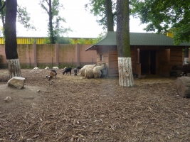 Turistika Bohumínem