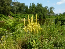 Turistika Bohumínem