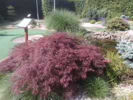 Tenisový sportovní kurz