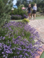 Tenisový sportovní kurz