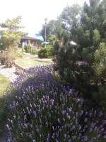 Tenisový sportovní kurz