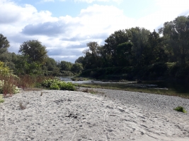 Environmentální exkurze - Meandry Odry