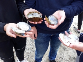 Environmentální exkurze - Meandry Odry