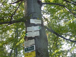 Výstup na Javorový