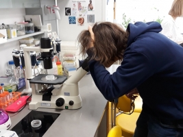 Exkurze do Ústavu organické chemie a biochemie Akademie věd ČR