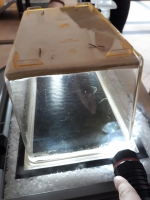 Den částicovým fyzikem