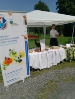 TŘETÍ SVATOVAVŘINECKÁ POUŤ KUCHAŘŮ A CUKRÁŘŮ NA HOSTÝNĚ