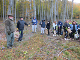 Sázení stromků