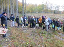 Sázení stromků