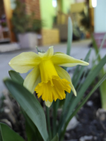 Sociální činnost v paprscích slunce