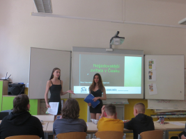 Nejjedovatější zvířata v Česku