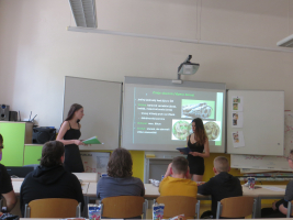 Nejjedovatější zvířata v Česku