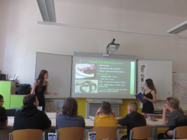 Nejjedovatější zvířata v Česku