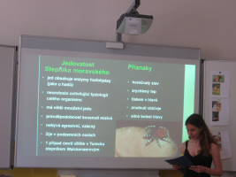 Nejjedovatější zvířata v Česku